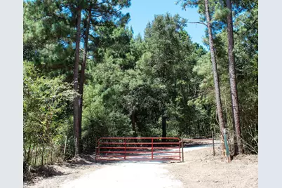 66 Ac Tanyard Church Lane, Midway, TX 75852 - Photo 11