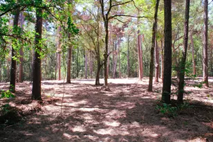 66 Ac Tanyard Church Ln, Midway, TX 75852 - Photo 1