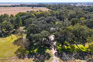 [Address not provided], Louise, TX 77455 - Photo 11