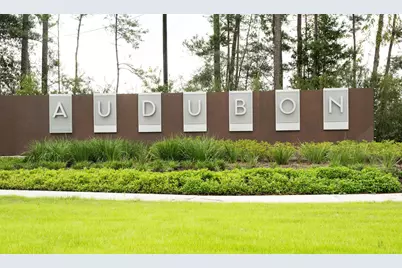 39219 Water Rail Court, Magnolia, TX 77354 - Photo 3