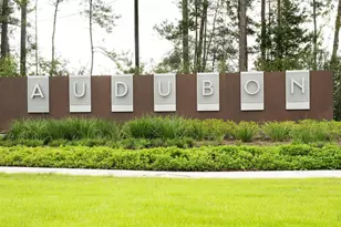 39219 Water Rail Ct, Magnolia, TX 77354 - Photo 3