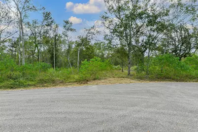 0 Live Oak St, Damon, TX 77430 - Photo 3