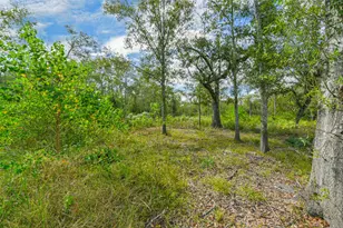 0 Live Oak St, Damon, TX 77430 - Photo 15