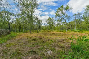 0 Live Oak St, Damon, TX 77430 - Photo 11