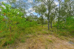 0 Live Oak St, Damon, TX 77430 - Photo 9