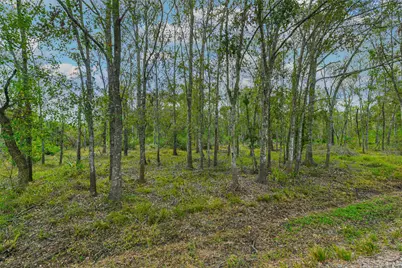 0 Live Oak St, Damon, TX 77430 - Photo 17