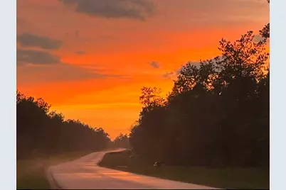 11958 High Branch Way, Willis, TX 77378 - Photo 37