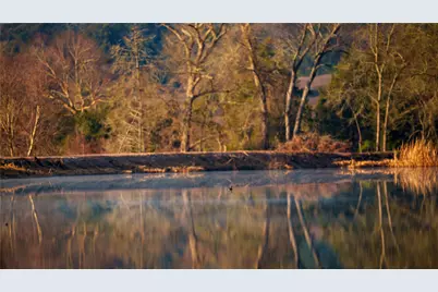 Tbd, +/-221 Ac Fm 3, Normangee, TX 77871 - Photo 45