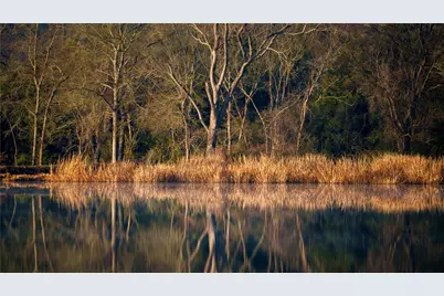 Tbd, +/-221 Ac Fm 3, Normangee, TX 77871 - Photo 35