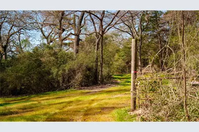 Tbd, +/-221 Ac Fm 3, Normangee, TX 77871 - Photo 43