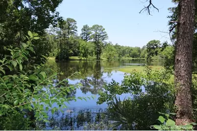 27603 Molly Hills Court, Spring, TX 77386 - Photo 45