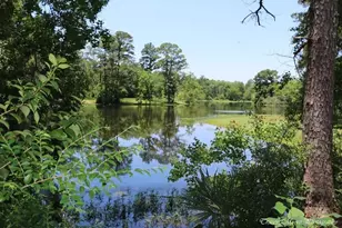 27603 Molly Hills Ct, Spring, TX 77386 - Photo 45