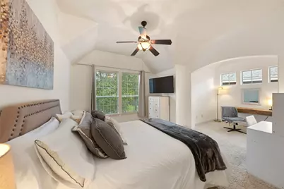 6 African Violets Place, The Woodlands, TX 77382 - Photo 35