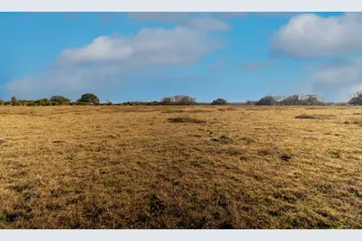 Tbd County Road 443/446, Ganado, TX 77962 - Photo 3