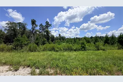 Tbd Lady Luck Ln Parcel 246445 Road, Livingston, TX 77351 - Photo 11