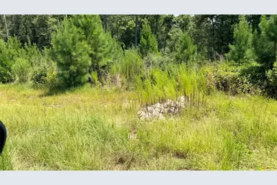 Tbd Lady Luck Ln Parcel 246445 Road, Livingston, TX 77351 - Photo 7