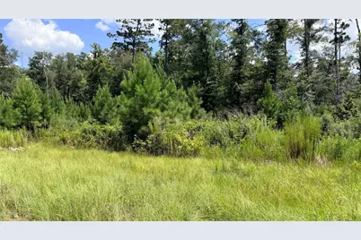 Tbd Lady Luck Ln Parcel 246445 Road, Livingston, TX 77351 - Photo 5