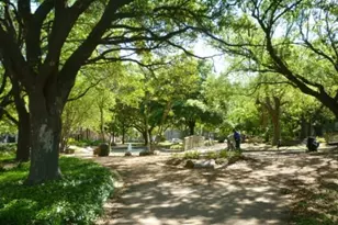4899 Montrose Blvd, Houston, TX 77006 - Photo 29