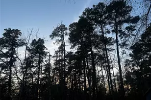 160 Scott Rd, Huntsville, TX 77320 - Photo 9