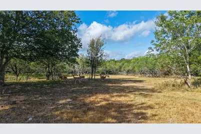Tract 5 Tbd Mensik Rd, Bryan, TX 77808 - Photo 3