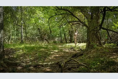 Tract 5 Tbd Mensik Rd, Bryan, TX 77808 - Photo 5