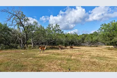 Tract 5 Tbd Mensik Rd, Bryan, TX 77808 - Photo 13