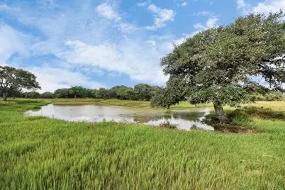 Tbd Wild Wing Preserve Lot 62 Gadwall, Columbus, TX 78934 - Photo 7