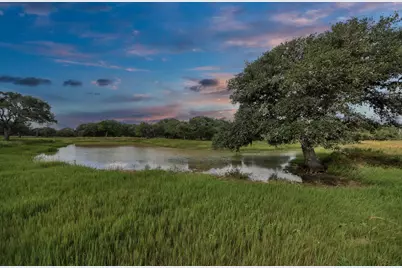 Tbd Wild Wing Preserve Lot 62 Gadwall, Columbus, TX 78934 - Photo 1