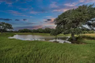 Tbd Wild Wing Preserve Lot 62 Gadwall, Columbus, TX 78934 - Photo 1