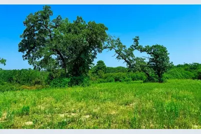 10Ac Cr 261, Buffalo, TX 75831 - Photo 3