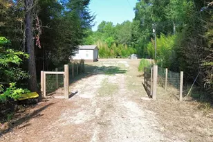 1125 County Rd 3075, Kirbyville, TX 75956 - Photo 3