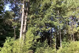 1125 County Rd 3075, Kirbyville, TX 75956 - Photo 11