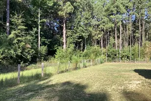 1125 County Rd 3075, Kirbyville, TX 75956 - Photo 9