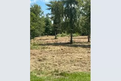 160 Branchwood Drive, Livingston, TX 77351 - Photo 21