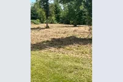 160 Branchwood Drive, Livingston, TX 77351 - Photo 15