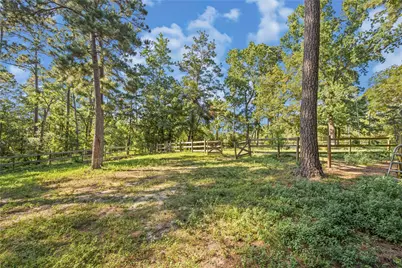 2342 Apache Drive, Montgomery, TX 77316 - Photo 41