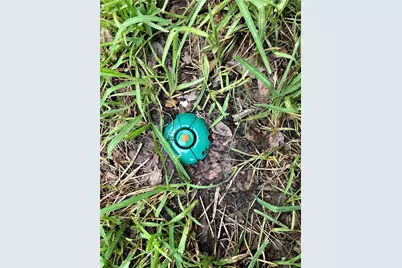 4802 Ward Street, Houston, TX 77021 - Photo 17