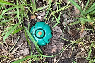 4802 Ward St, Houston, TX 77021 - Photo 17