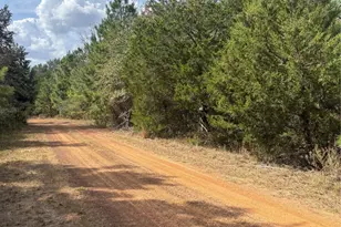 Lot#12 Deerwood Lakes, Hempstead, TX 77445 - Photo 1