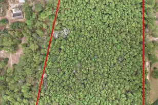 0000 E Williams Rd, Conroe, TX 77303 - Photo 15