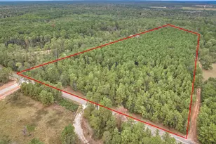 0000 E Williams Rd, Conroe, TX 77303 - Photo 13