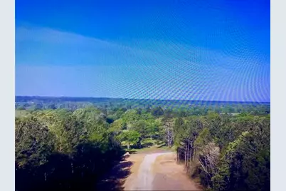 15629 Forest Knoll Road, Willis, TX 77378 - Photo 3