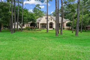 28523 Wild Oaks, Magnolia, TX 77355 - Photo 1