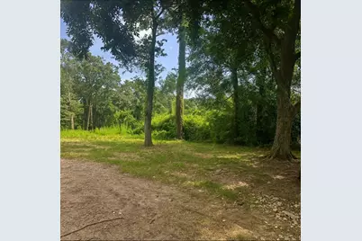 23850 S Wildwood Road, Porter, TX 77365 - Photo 3