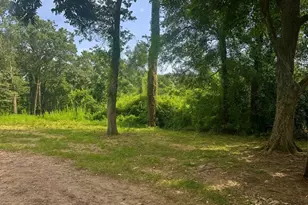 23850 S Wildwood Rd, Porter, TX 77365 - Photo 3