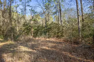 13321 Lueders Ln, Plantersville, TX 77363 - Photo 1