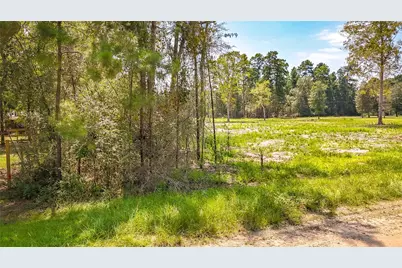 Tbd 67 Thousand Oaks, Livingston, TX 77351 - Photo 11