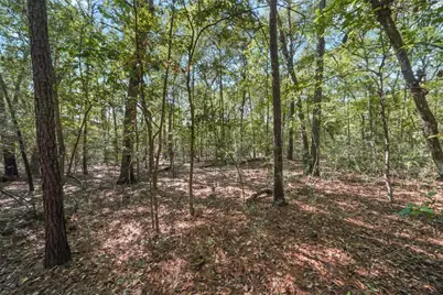 16885 Rabon Chapel Road, Montgomery, TX 77316 - Photo 21