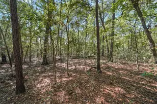 16885 Rabon Chapel Rd, Montgomery, TX 77316 - Photo 21