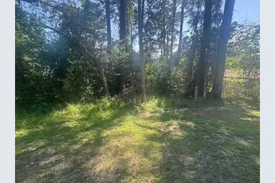 Tbd Evergreen Circle, Point Blank, TX 77364 - Photo 1